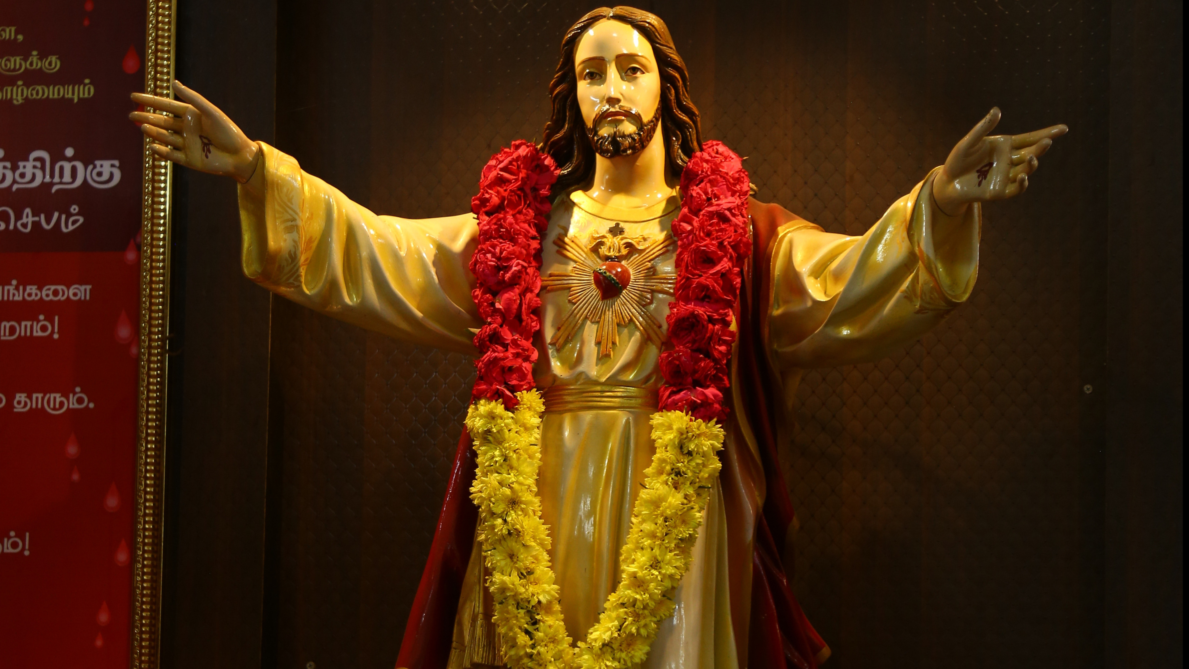 Image 11